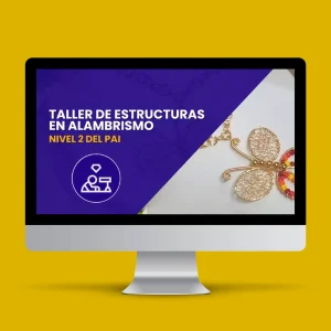 Acceso al Taller de Estructuras (Nivel 2 del PAI)